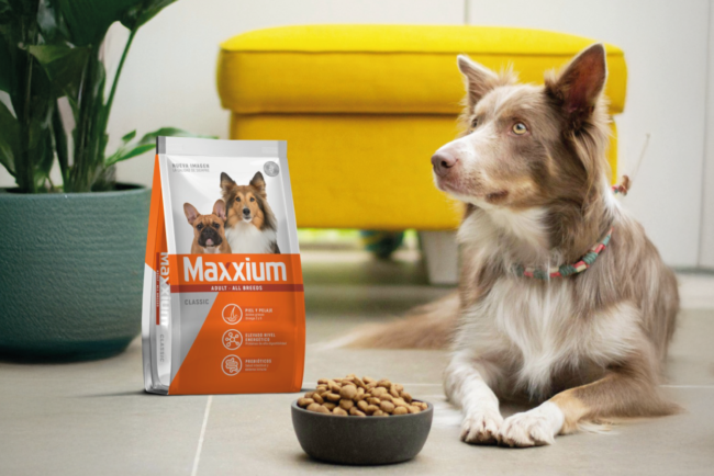 maxxium web 600×400 semana_03